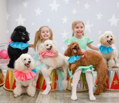 Интерьер детского клуба Давай поиграем в Находке - игровая зона для детских праздников, фото 24