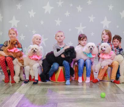 Шоу дрессированных пуделей и голубей - фото услуги для детского праздника в Находке - фото 7