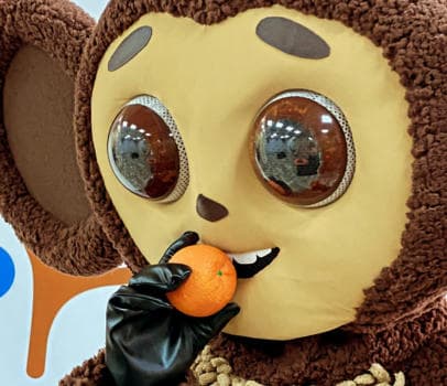 Ушастик и (или) Шапокляк - фото услуги для детского праздника в Находке - фото 3