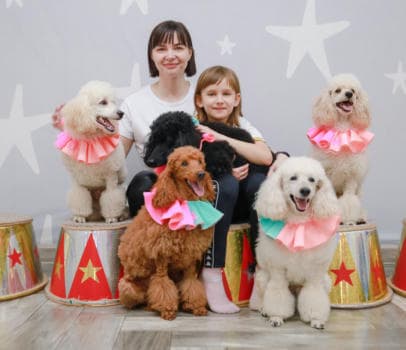 Шоу дрессированных пуделей и голубей - фото услуги для детского праздника в Находке - фото 14