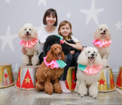 Шоу дрессированных пуделей и голубей - фото услуги для детского праздника в Находке - фото 15