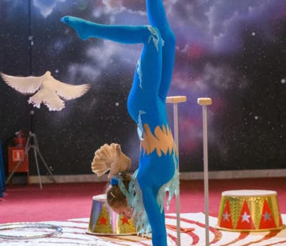 Шоу дрессированных пуделей и голубей - фото услуги для детского праздника в Находке - фото 19