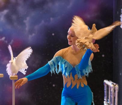 Шоу дрессированных пуделей и голубей - фото услуги для детского праздника в Находке - фото 20