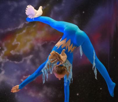 Шоу дрессированных пуделей и голубей - фото услуги для детского праздника в Находке - фото 21