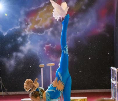 Цирковой номер с дрессированными голубями - фото услуги для детского праздника в Находке - фото 4