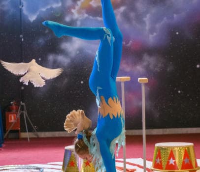 Цирковой номер с дрессированными голубями - фото услуги для детского праздника в Находке - фото 5