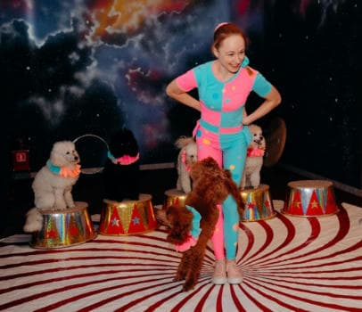 Пудель шоу - фото услуги для детского праздника в Находке - фото 9