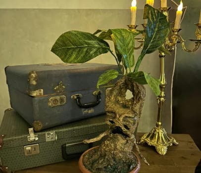 ПРОГРАММА "Приключения Волшебников" - фото услуги для детского праздника в Находке - фото 12