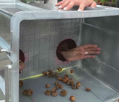 ПРОГРАММА Тик-ток и Челлендж - Пати  - фото услуги для детского праздника в Находке - фото 17