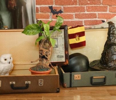 ПРОГРАММА "Приключения Волшебников" - hero в Находке, цена 35000 руб.