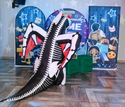 GAME OVER - фото услуги для детского праздника в Находке - фото 12