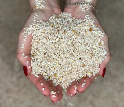 РИСОВАЯ песочница - 1 час - фото услуги для детского праздника в Находке - фото 2