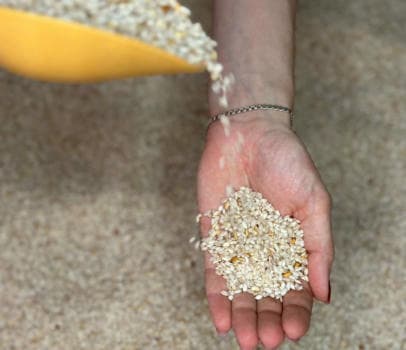 РИСОВАЯ песочница - 1 час - фото услуги для детского праздника в Находке - фото 4